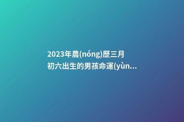 2023年農(nóng)歷三月初六出生的男孩命運(yùn) 今日五行缺火周易取名